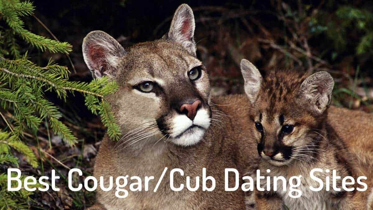 paras dating App löytää Cougars